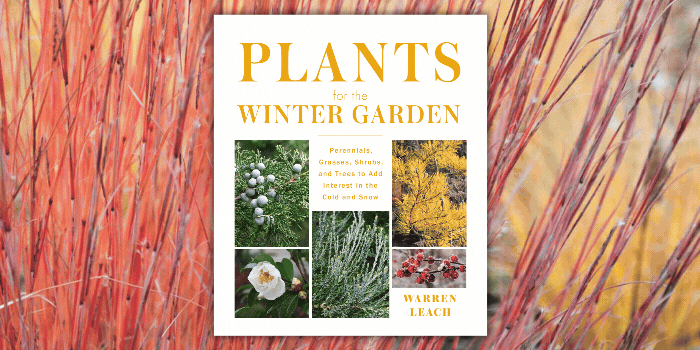 Animated book cover of Plants for the Winter Garden by Warren Leach